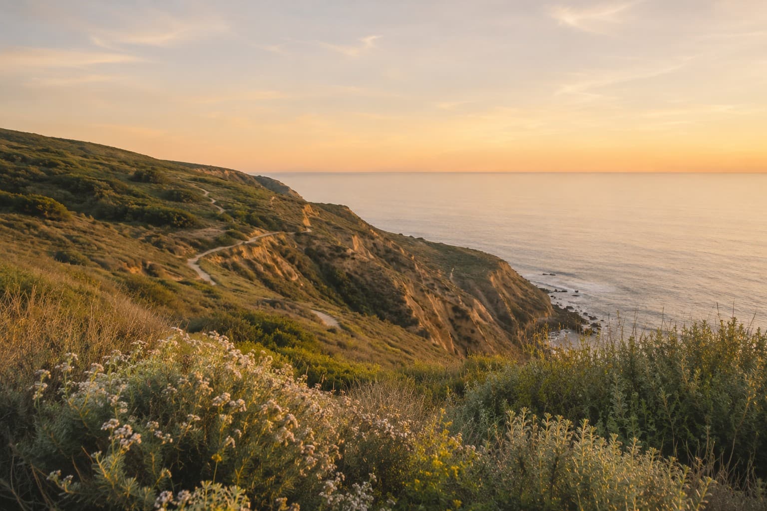 Coastal cliffs with native sage scrub overlooking the Pacific Ocean at golden hour, capturing the Palos Verdes peninsula