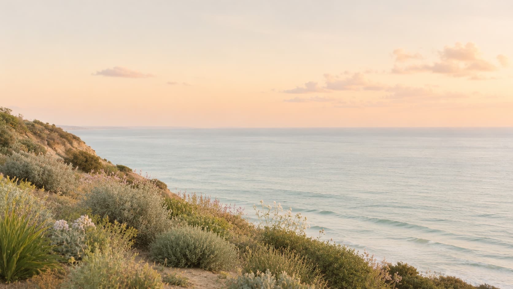 A Southern California coastal landscape at the calm part of the day, with cliffs, sage plants, and pale ocean